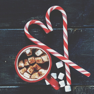 沧州消音器厂家用小鹤营销导航
