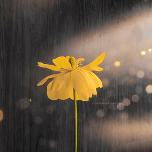 沧州消音器厂家用小鹤营销导航
